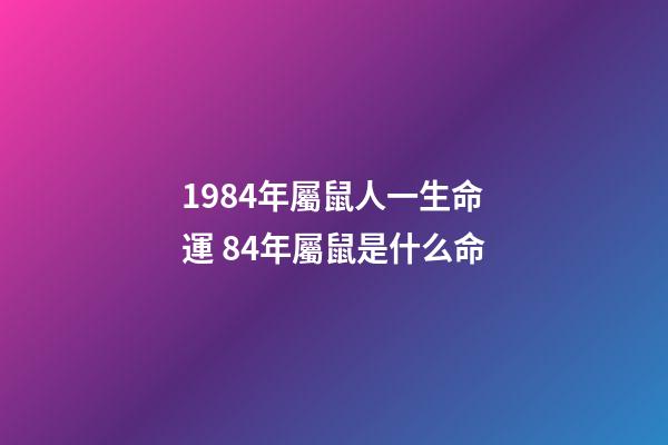 1984年屬鼠人一生命運 84年屬鼠是什么命